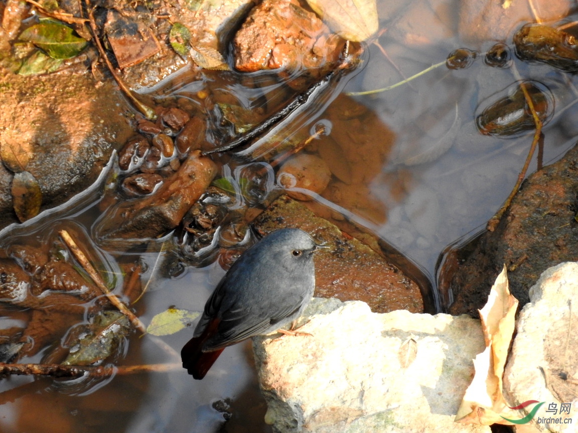 DSCN4062.JPG