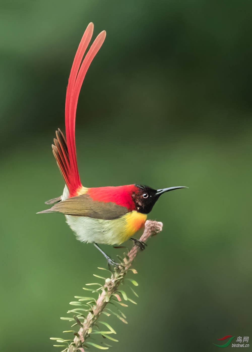 ���⣺����һ��Unique Style�����ߣ���ǿ��������ǳЦ��Ȼ��.jpg