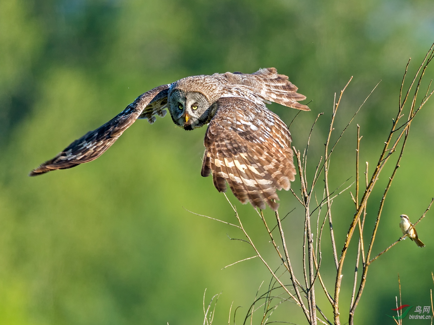 3���������-�����{The Protagonist And Supporting Role--����.jpg