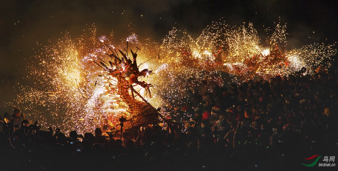 ����ʢ��Dancing Dragon For the heyday--�ﳱ��.jpg