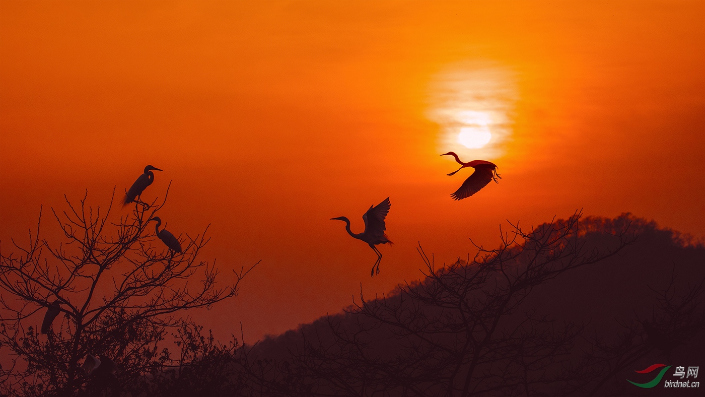 ��ΰ��DO5890-009-A2-A-We are rangers in sunsetting.JPG