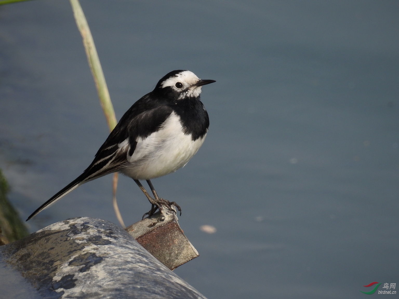 DSCN5398.JPG