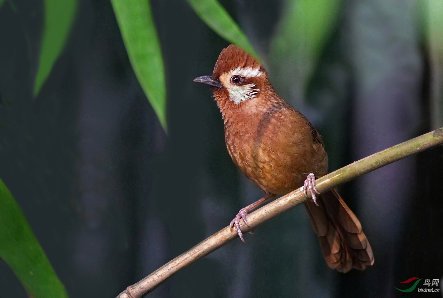 144656lwd458145d171di5 ����.jpg