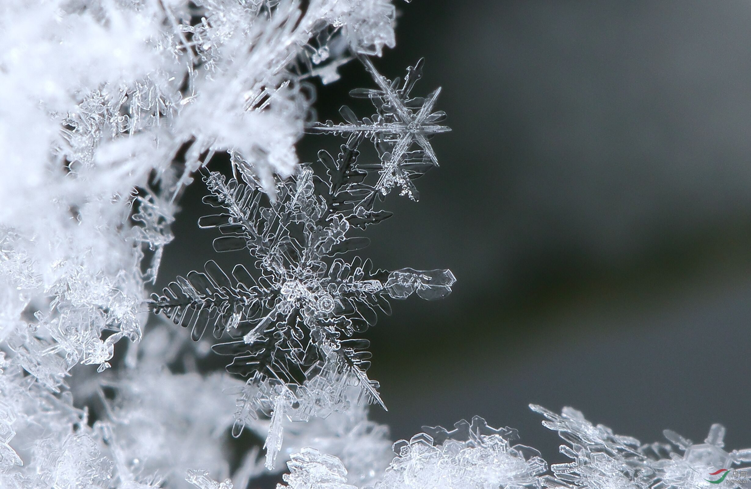 雪花的形状