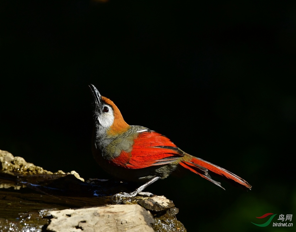 70.ݺ�� ��β����_D054803.JPG