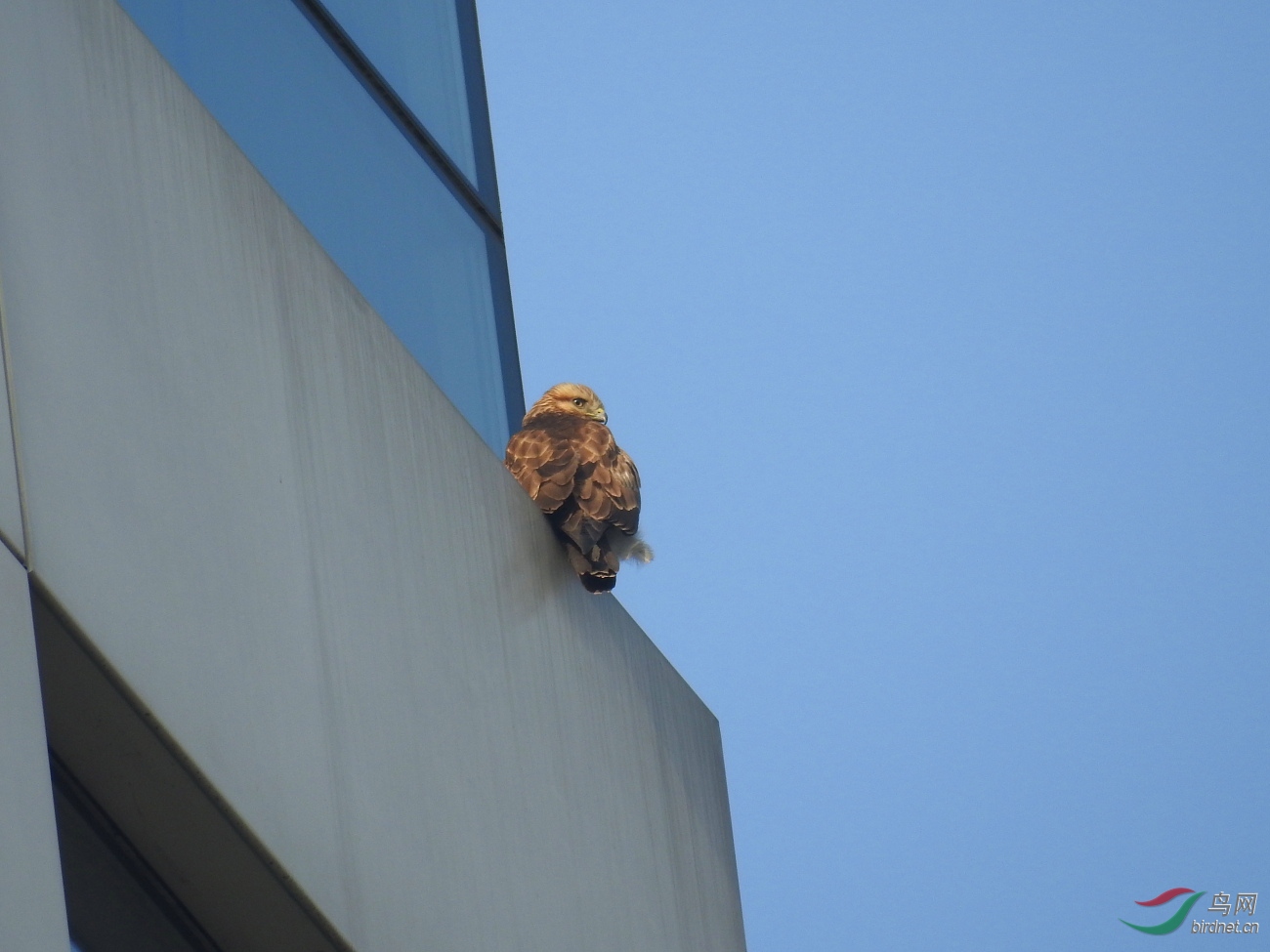 DSCN5090.JPG