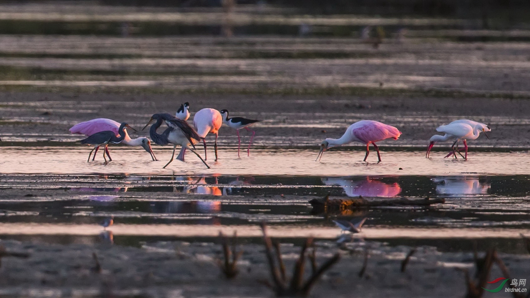 海滨盛宴(祝贺获得图文精华)