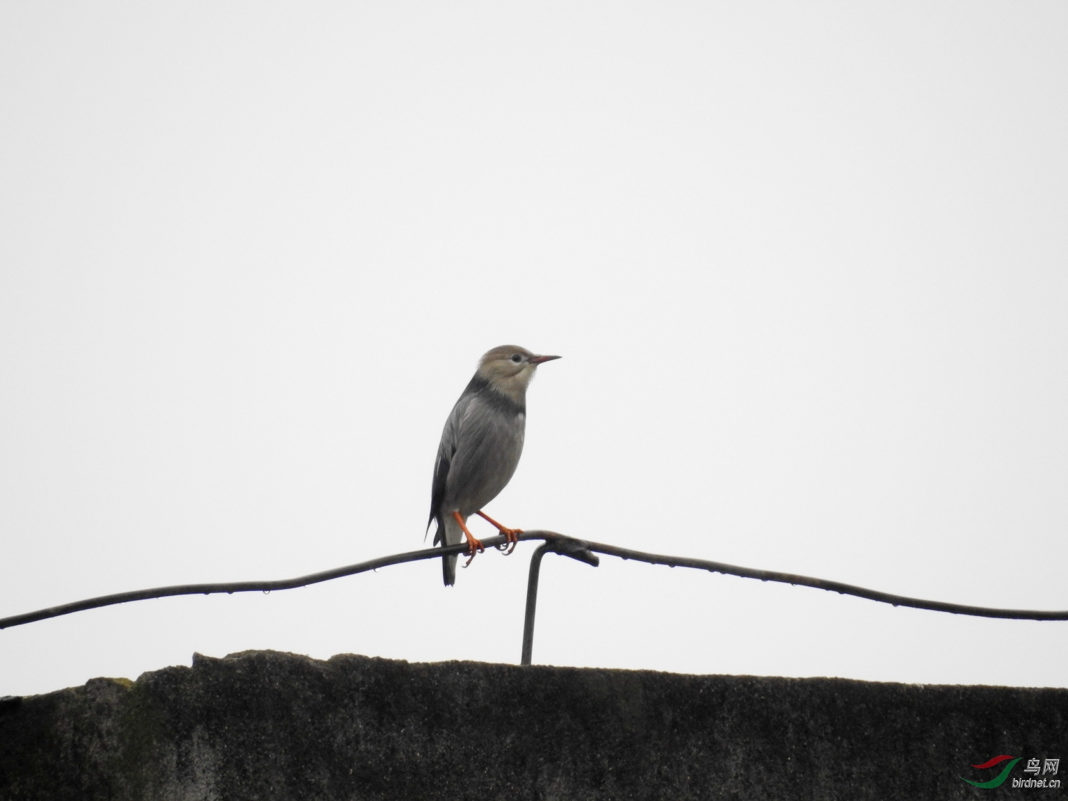 70���عⲹ��3��