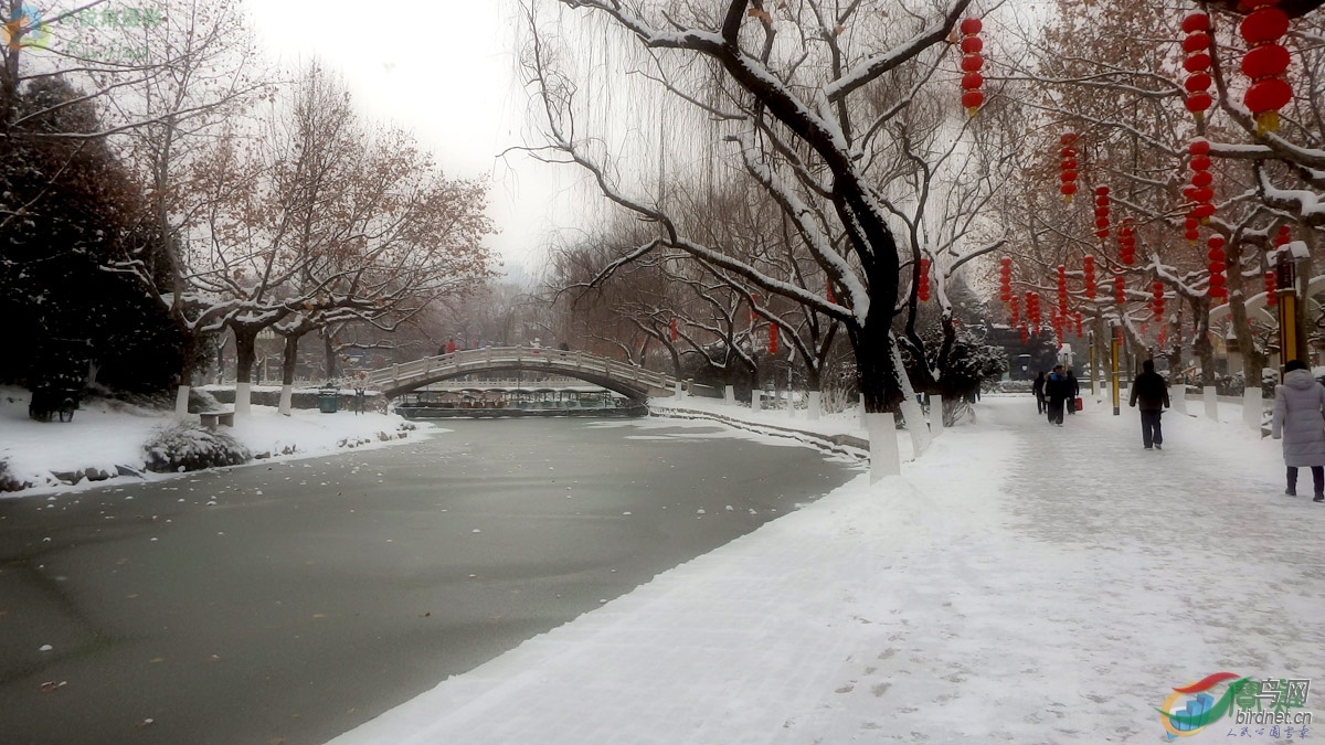 宝鸡凤县岭南公园雪景图片