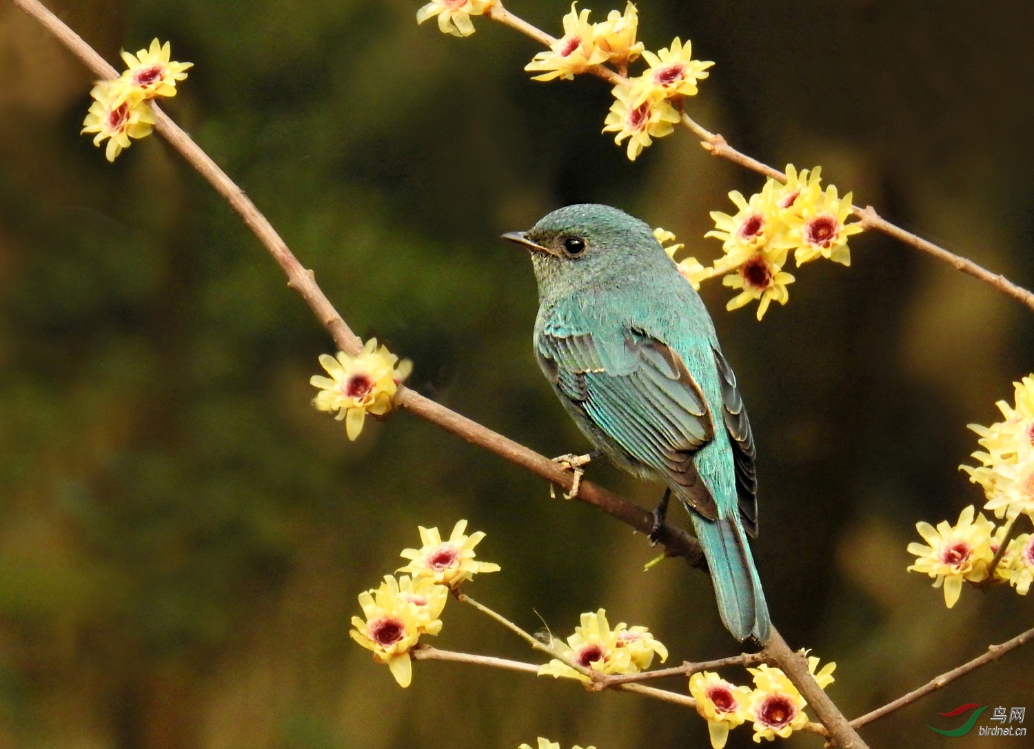 DSCN2623 ����.jpg