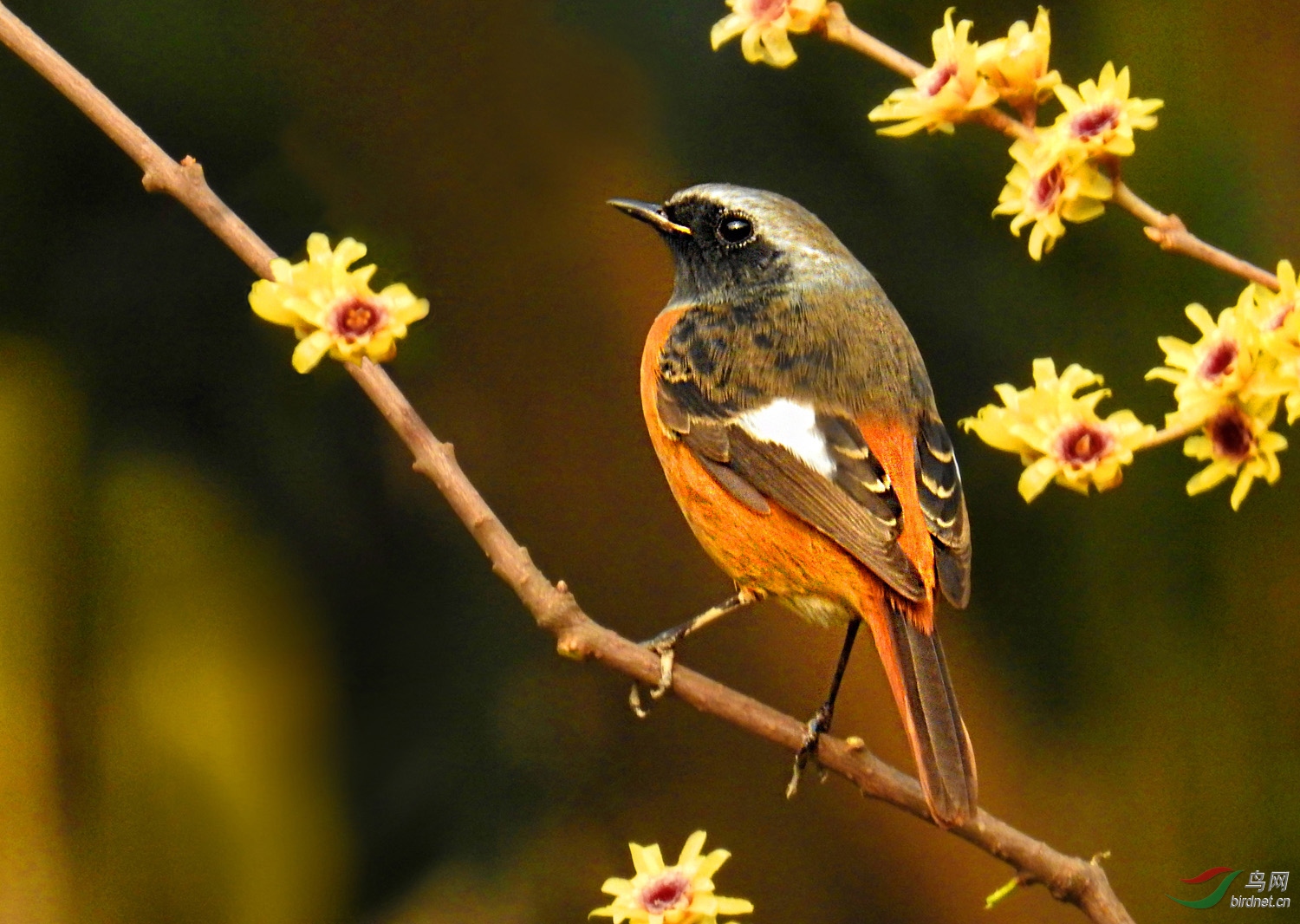 DSCN2649 ����.jpg