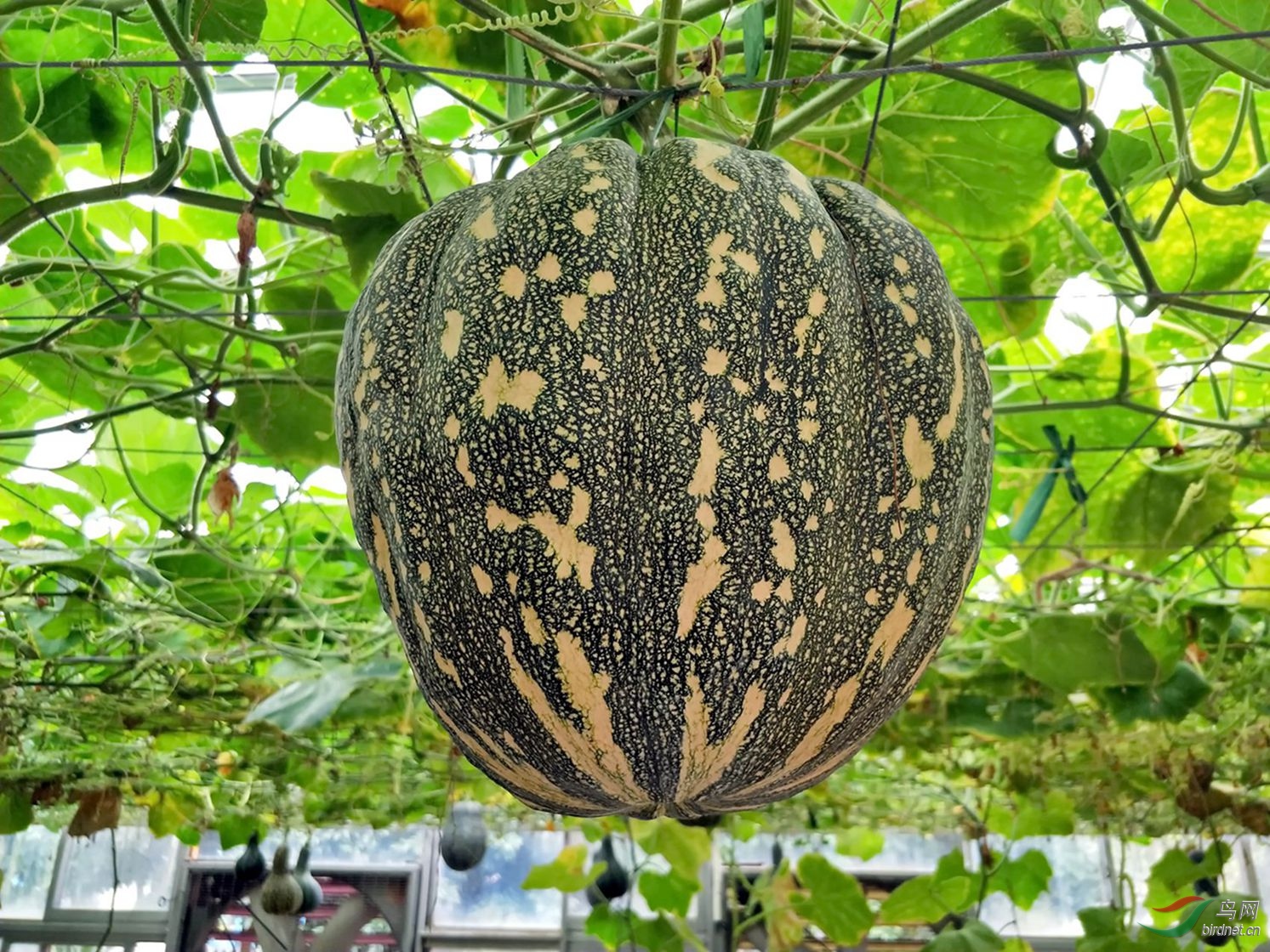 新建文件夹 (3)img20180126100556.jpg