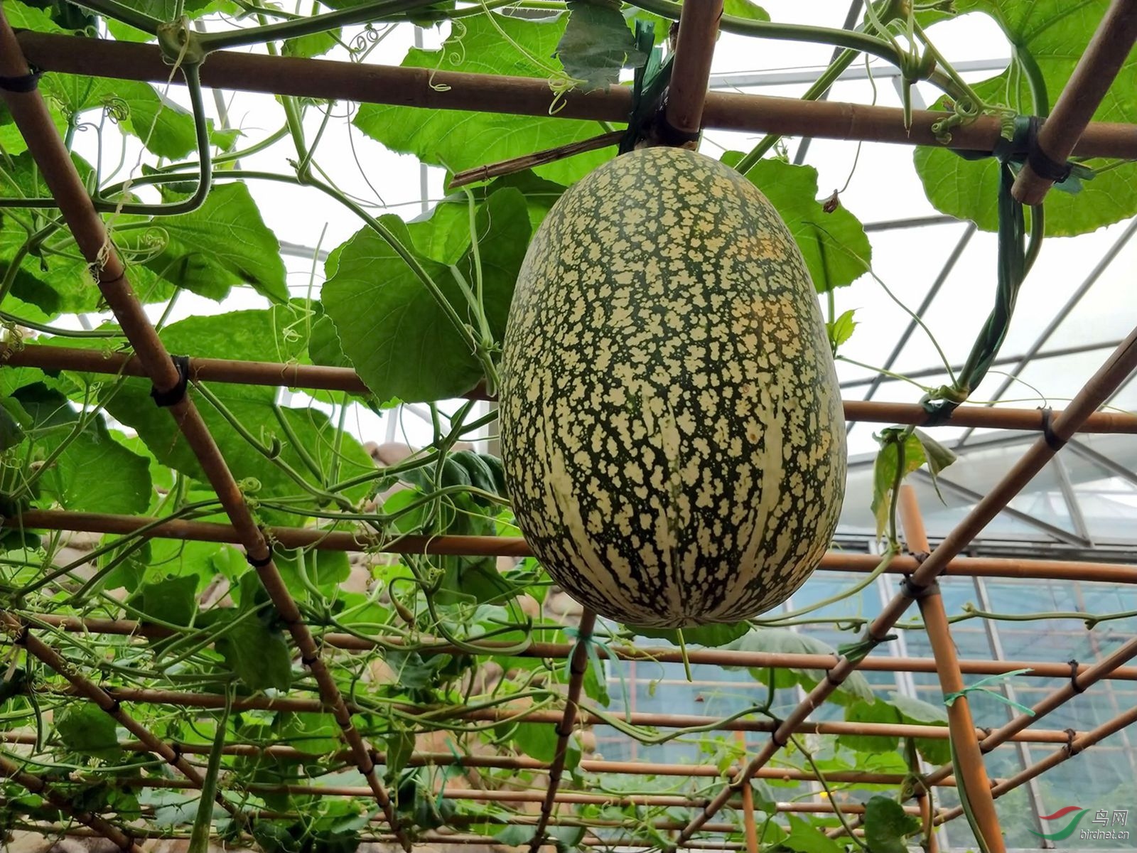 新建文件夹 (3)img20180126102052.jpg