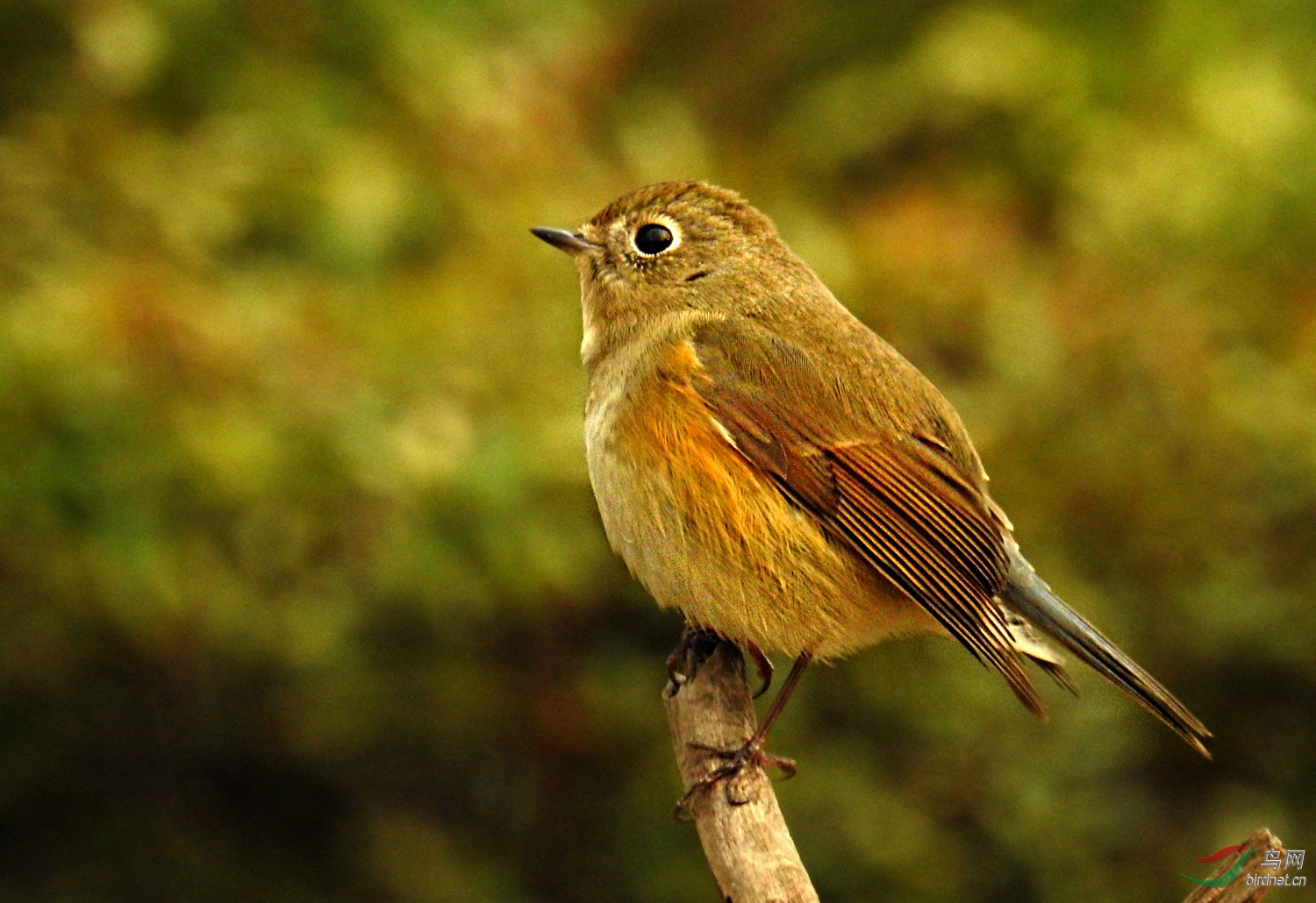 DSCN2834 ����.jpg