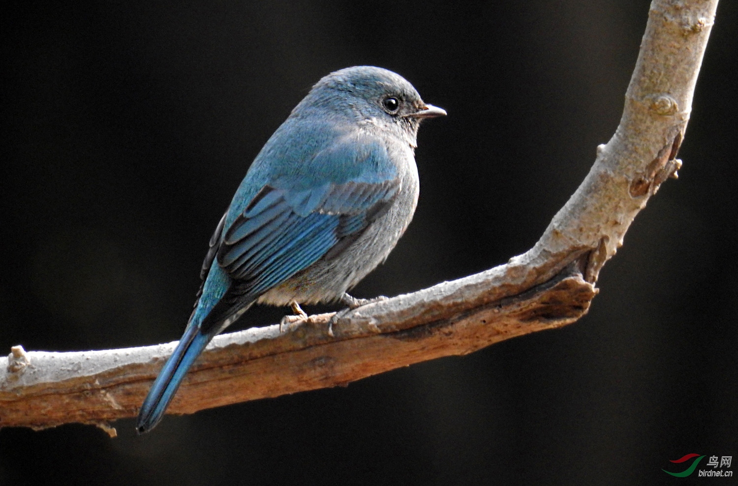 DSCN2668 ����.jpg