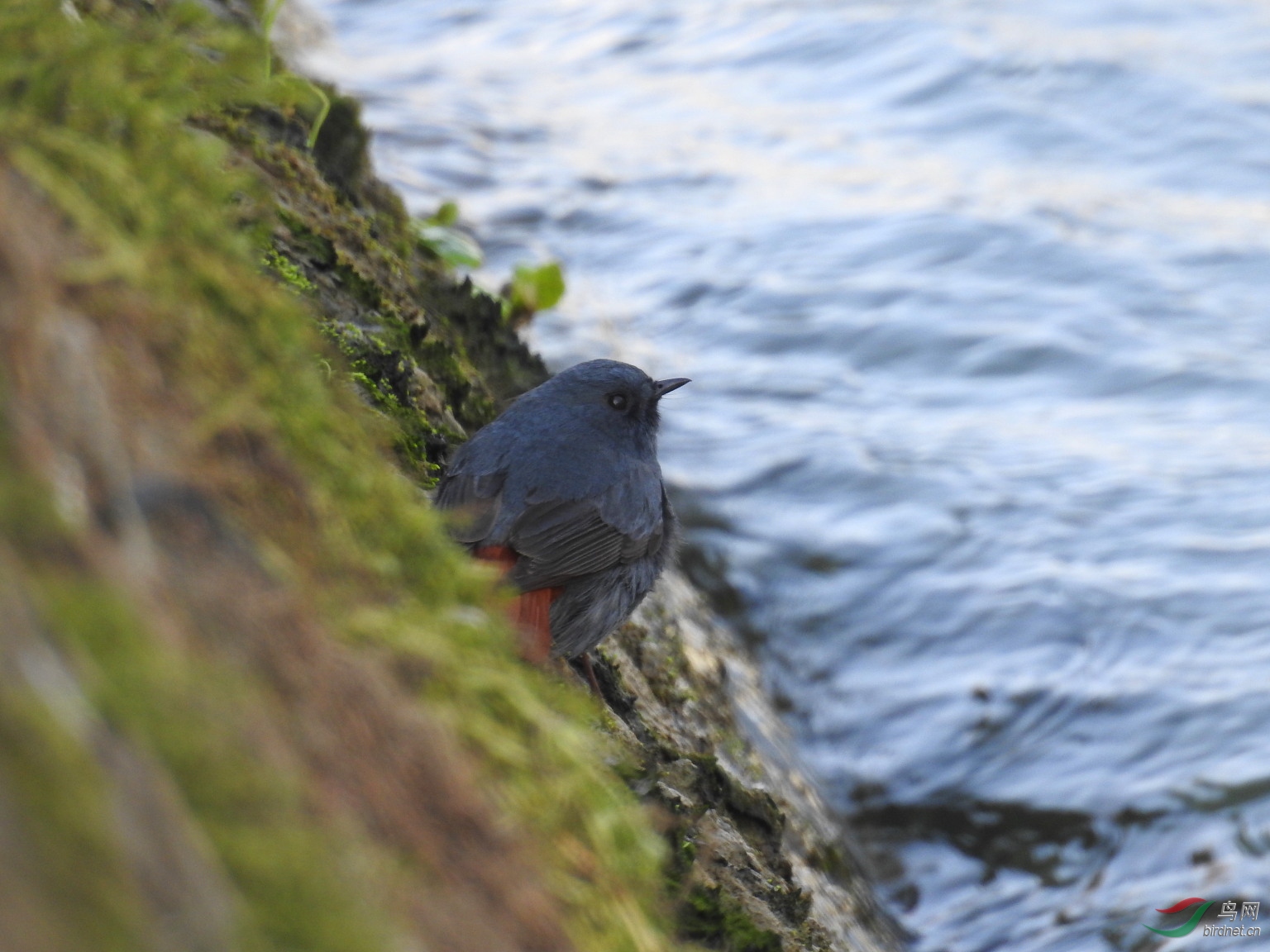 DSCN5138.JPG