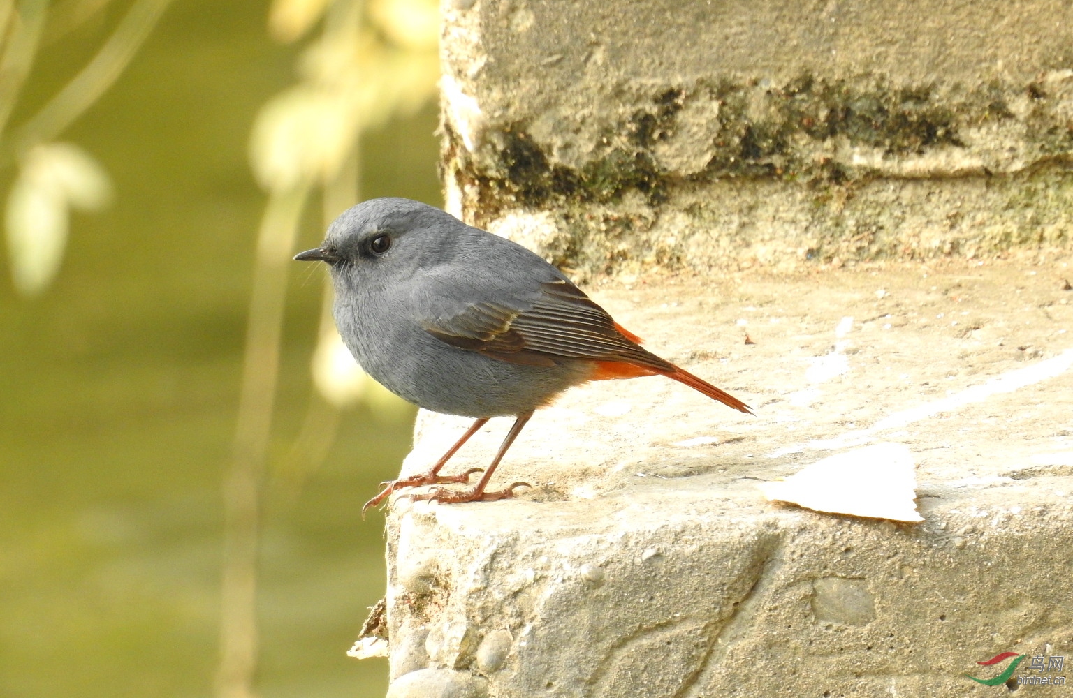 12��  ��ϲ�����̨��