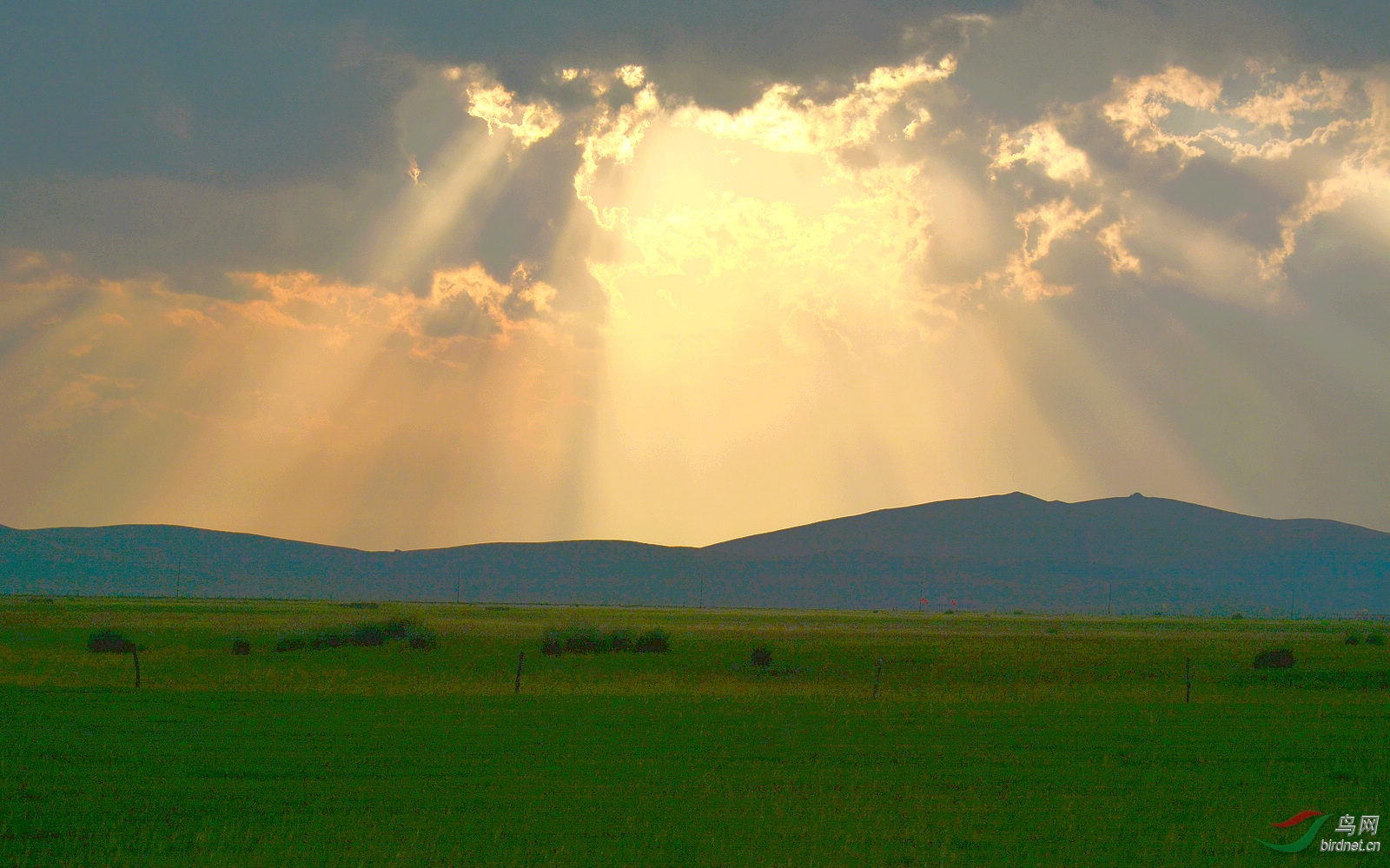 佛光普照大草原