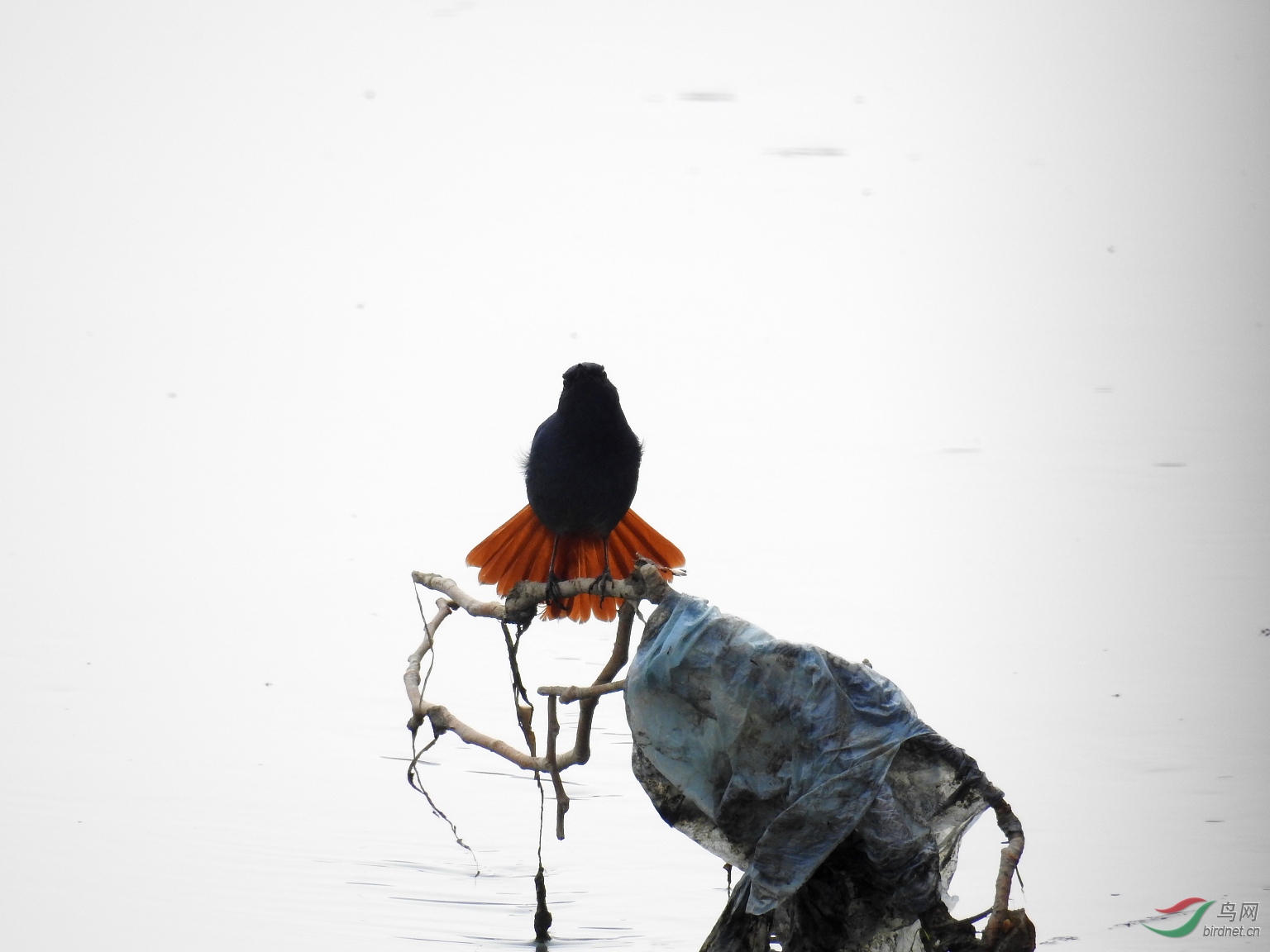 DSCN6147.JPG