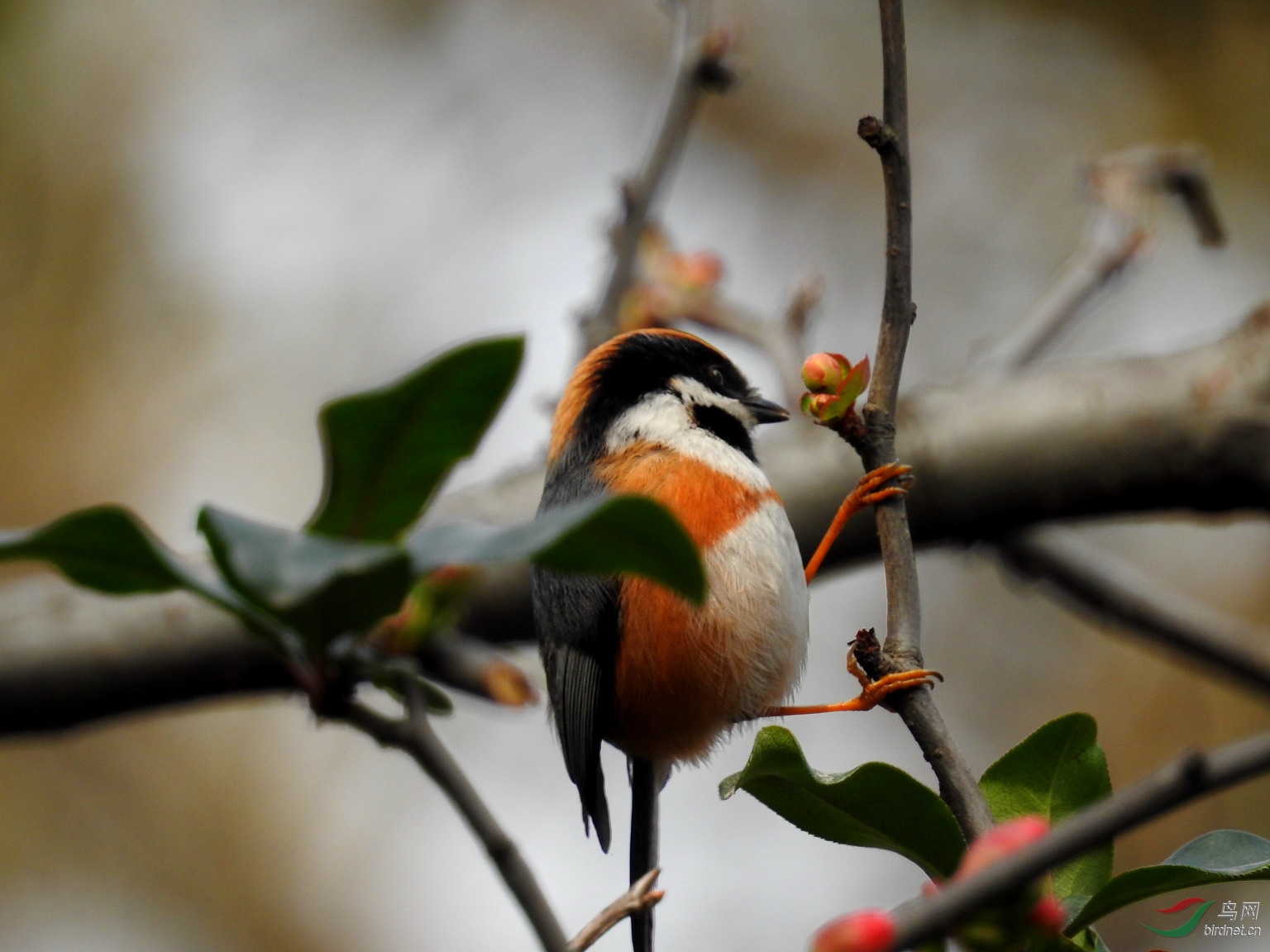 DSCN6099.JPG