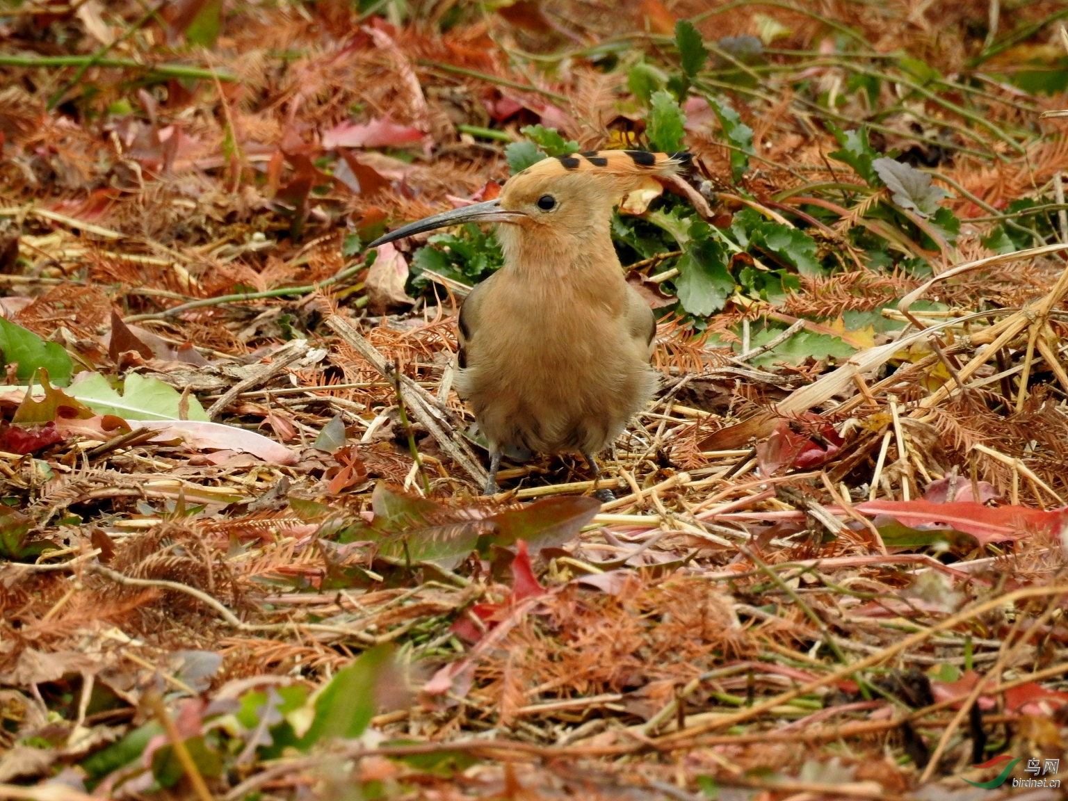 DSCN5654.JPG