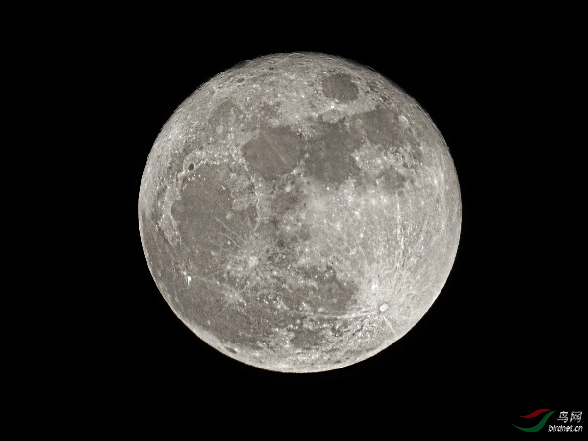 DSCN1159 ����.jpg