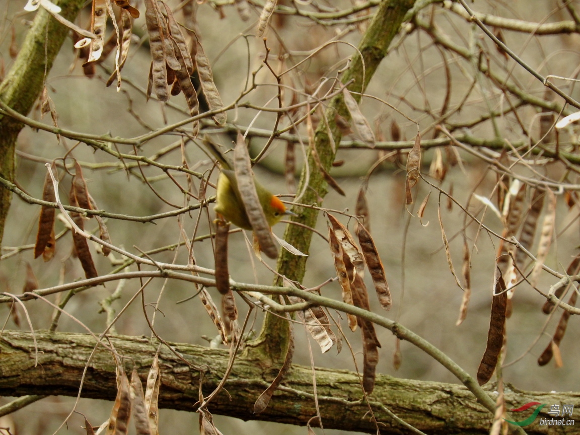 DSCN6235.JPG