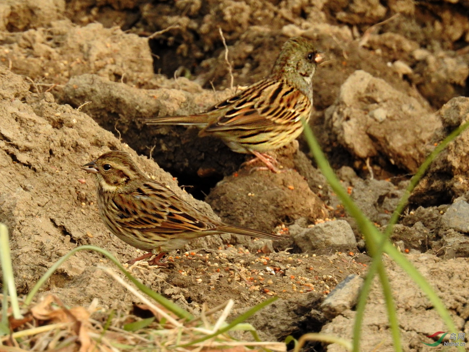 DSCN2870 ����.jpg