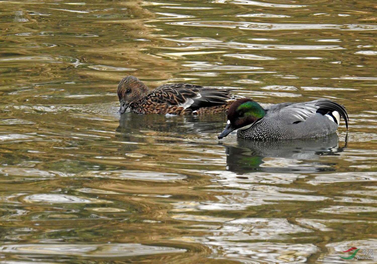 DSCN3065 ����.jpg