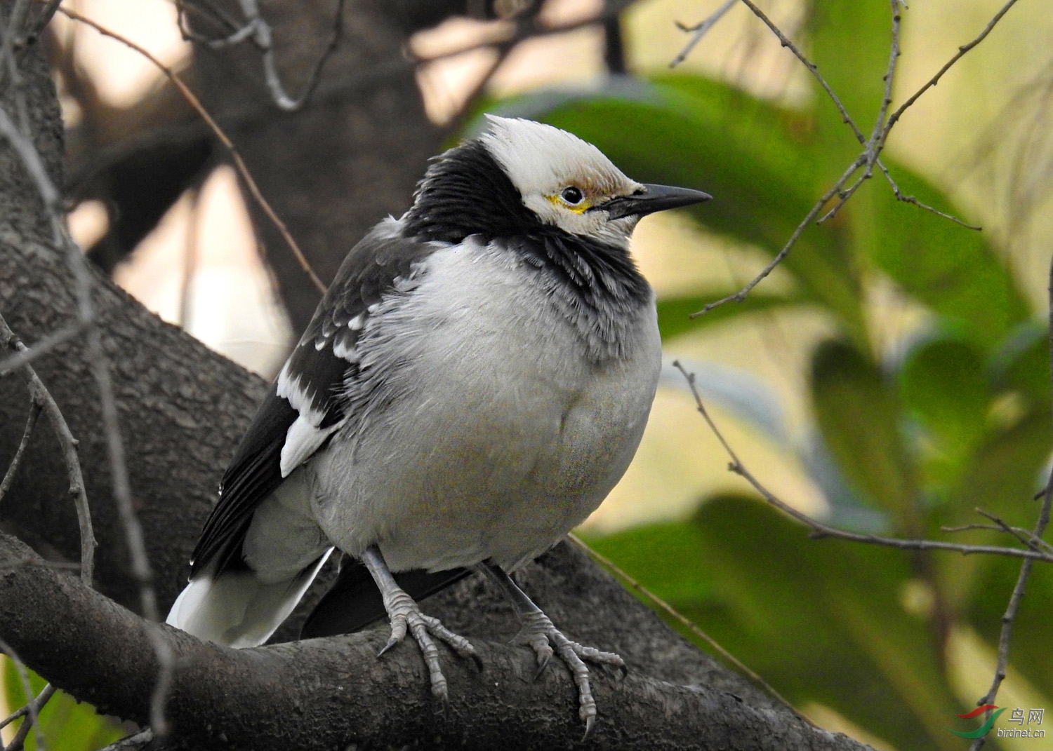 DSCN3032 ����.jpg