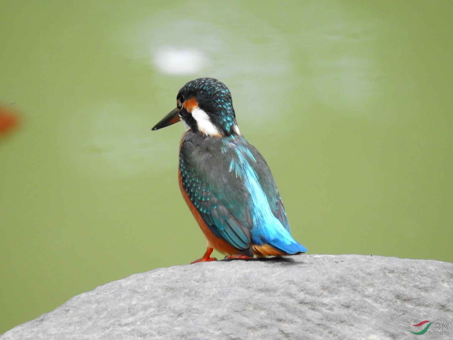 DSCN1855.JPG