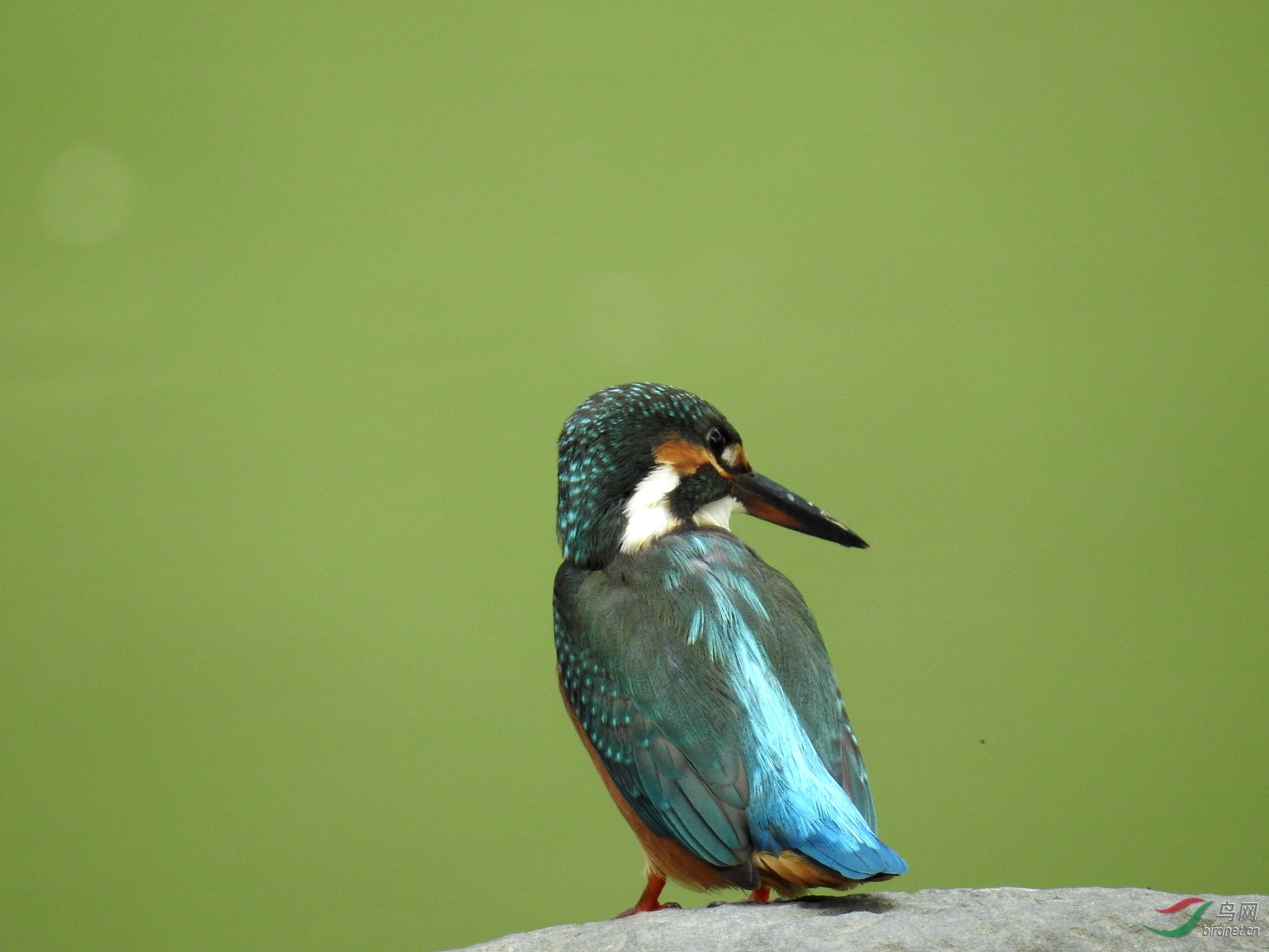 DSCN1864.JPG