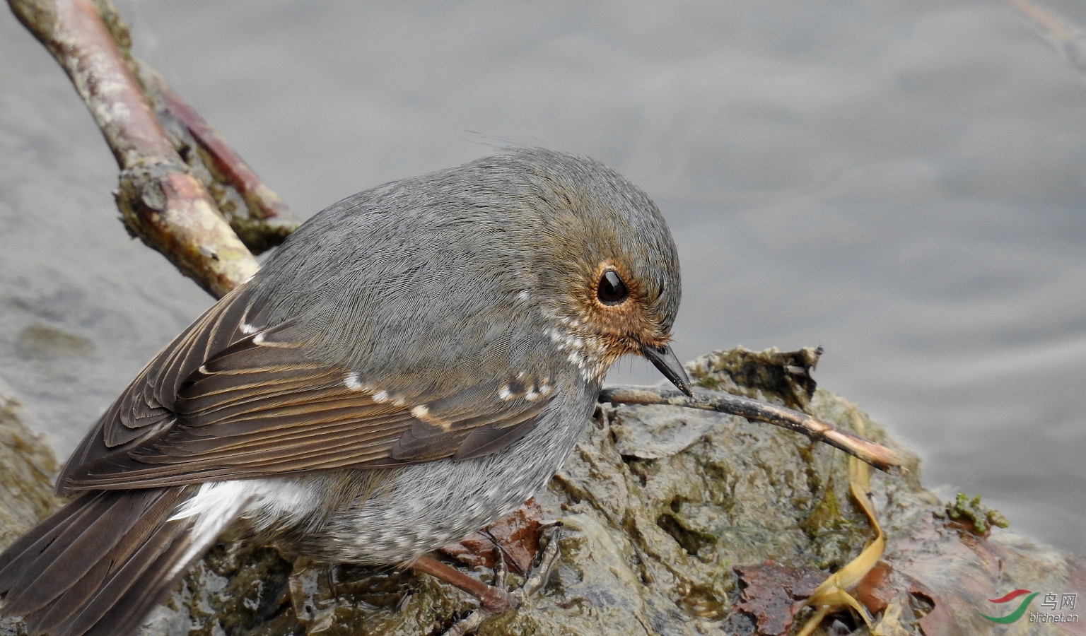 DSCN6080.JPG