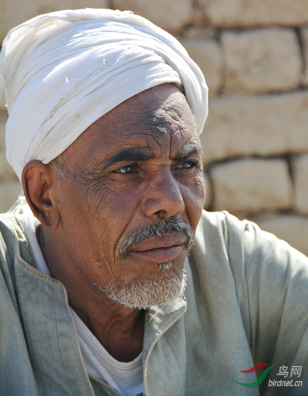 埃及老人四