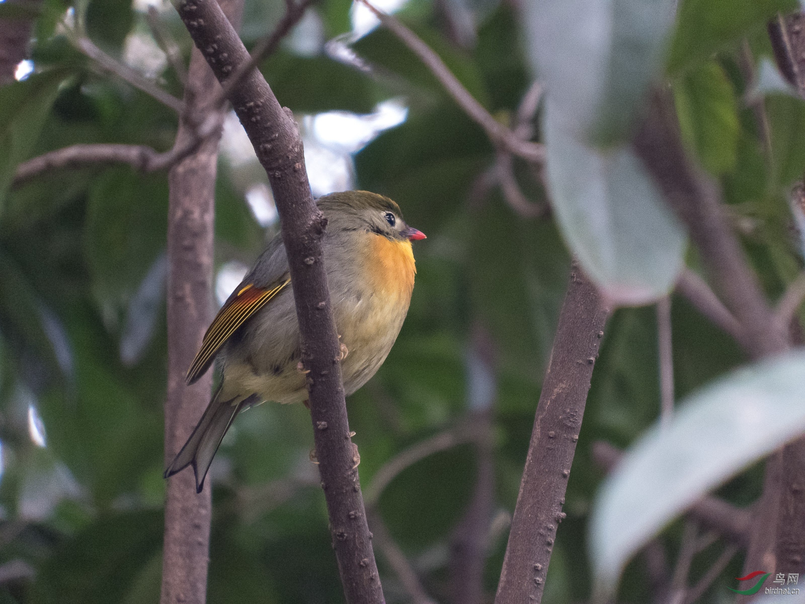 DSCF6069.jpg