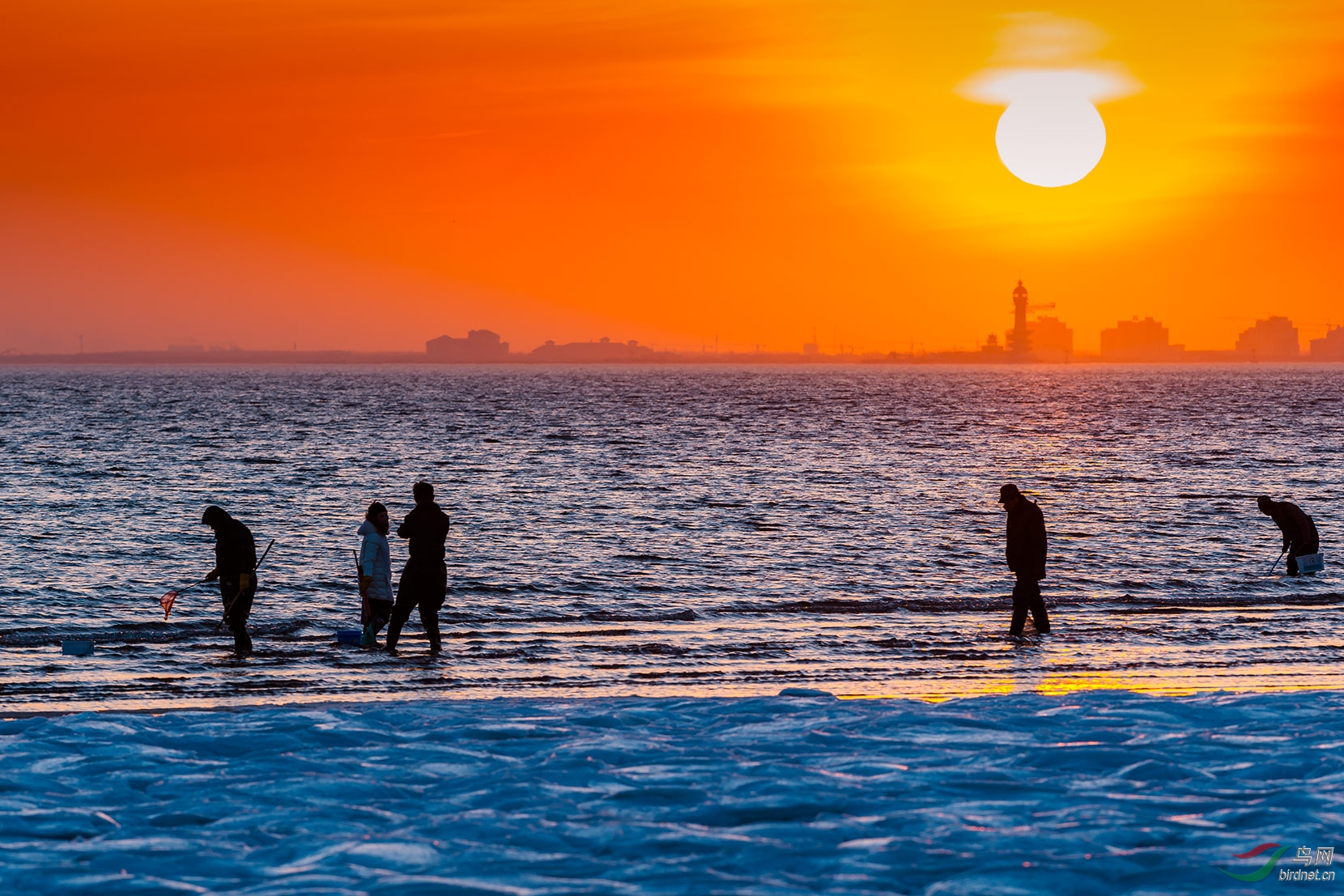 腊月赶海继续支持大庆炮队