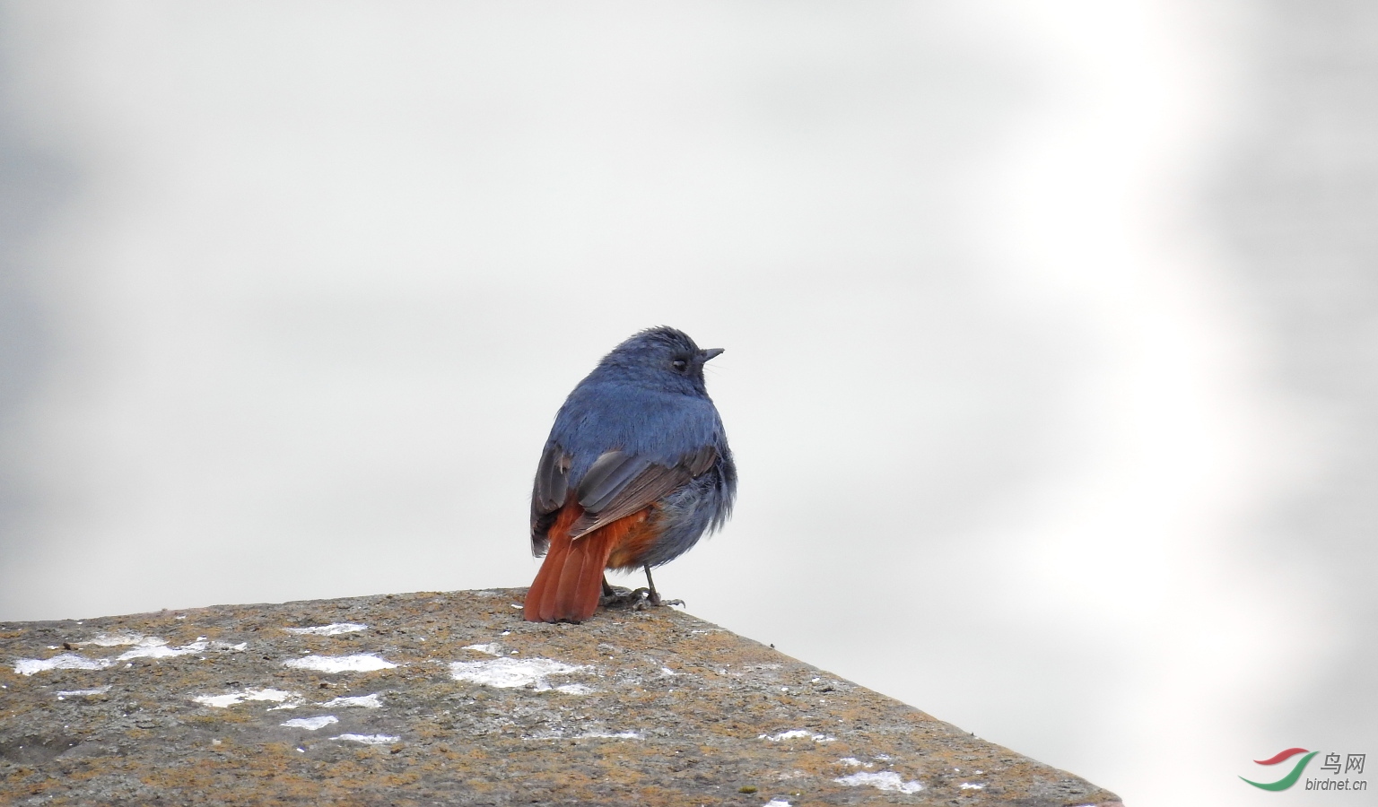 Լ18�� ����һ��