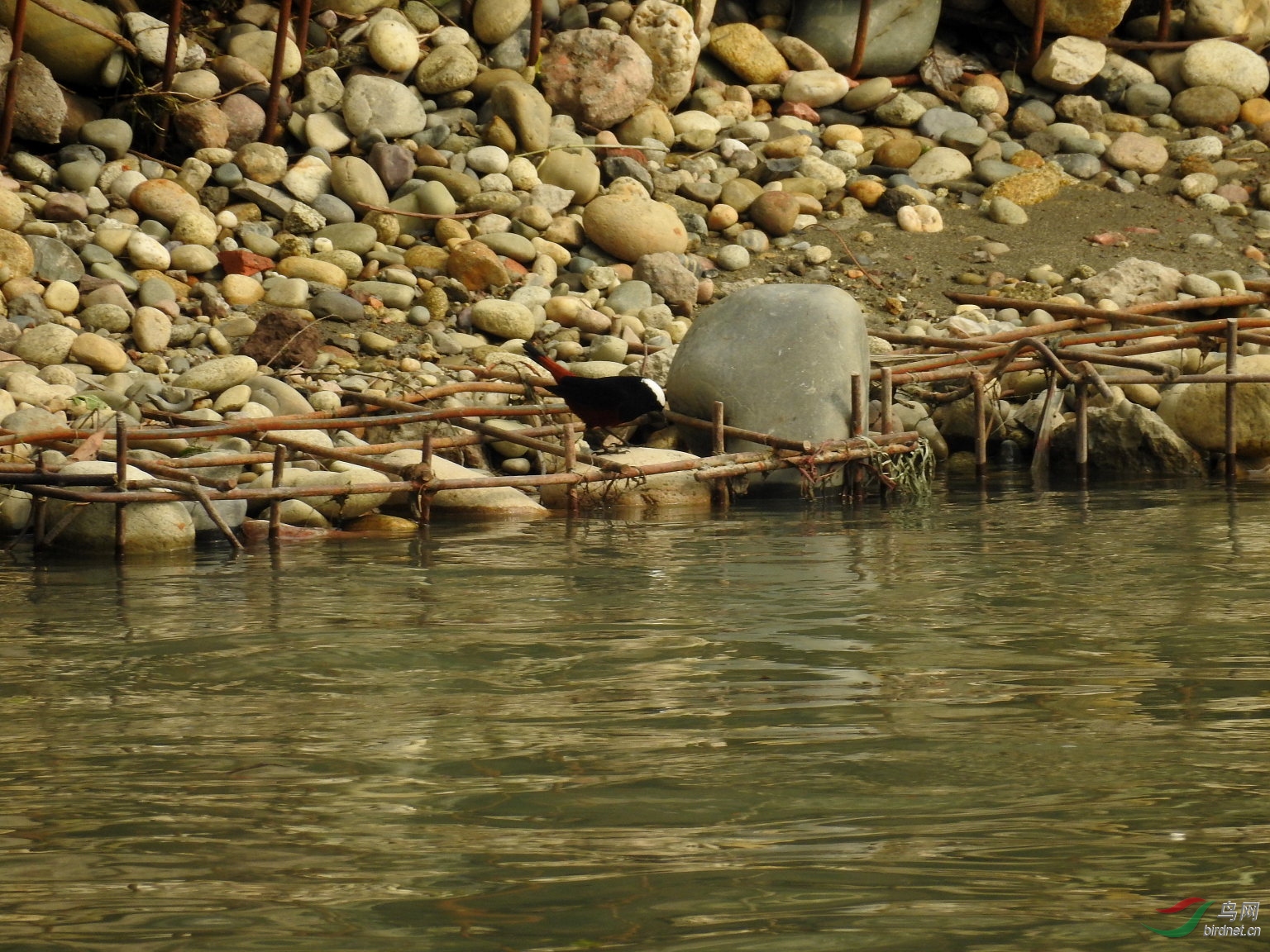 60�� ����