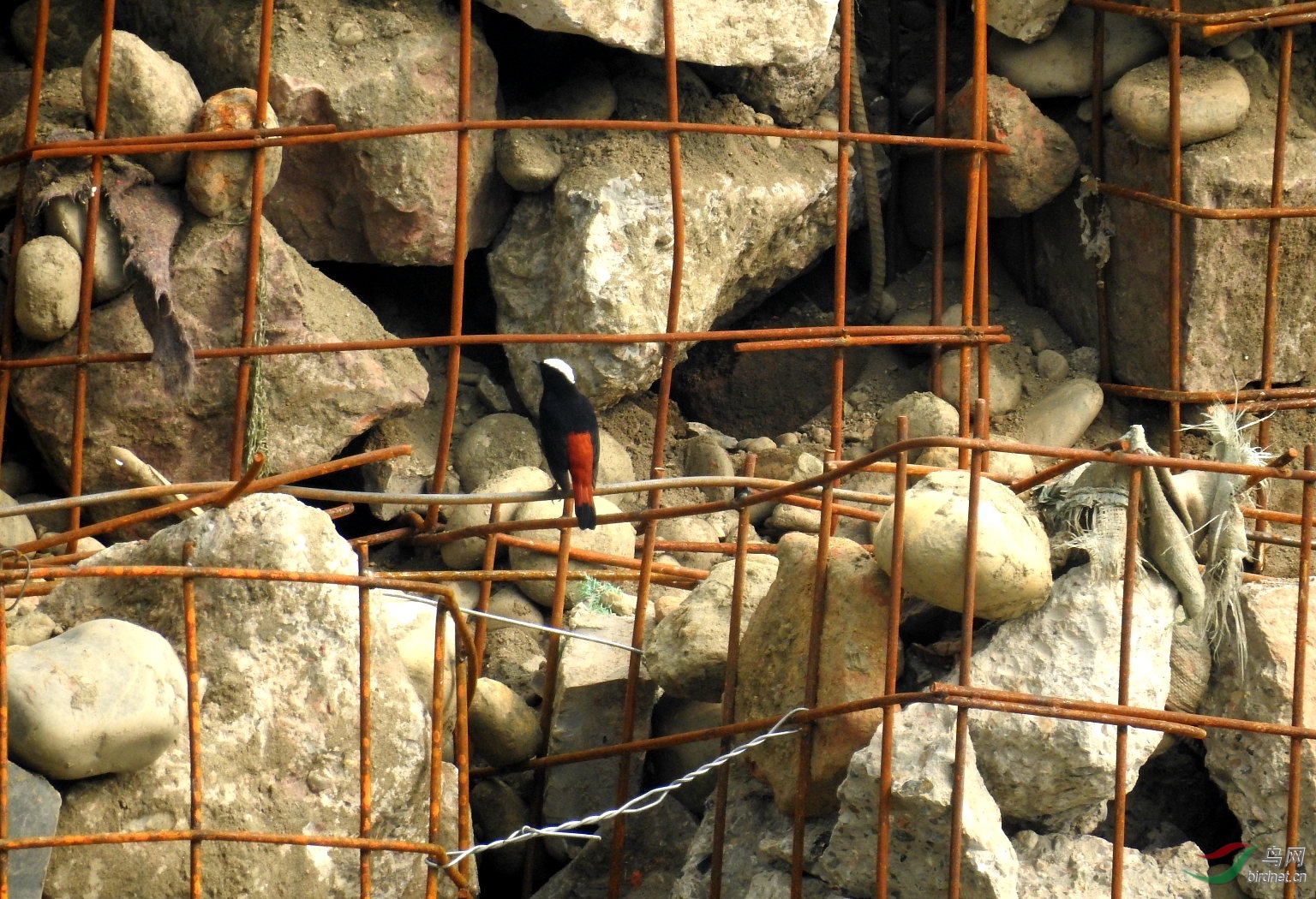 60�� ����