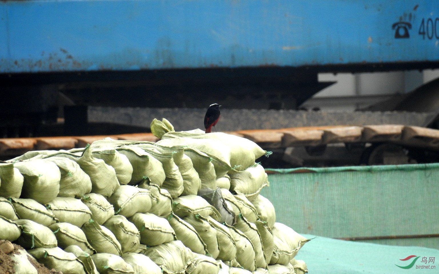 80�� ����