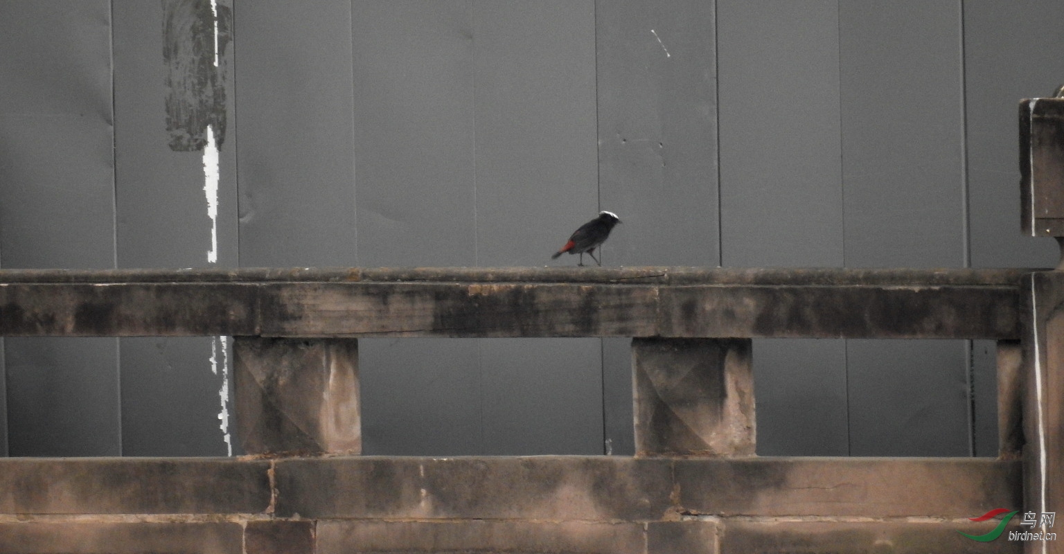 80�� ����