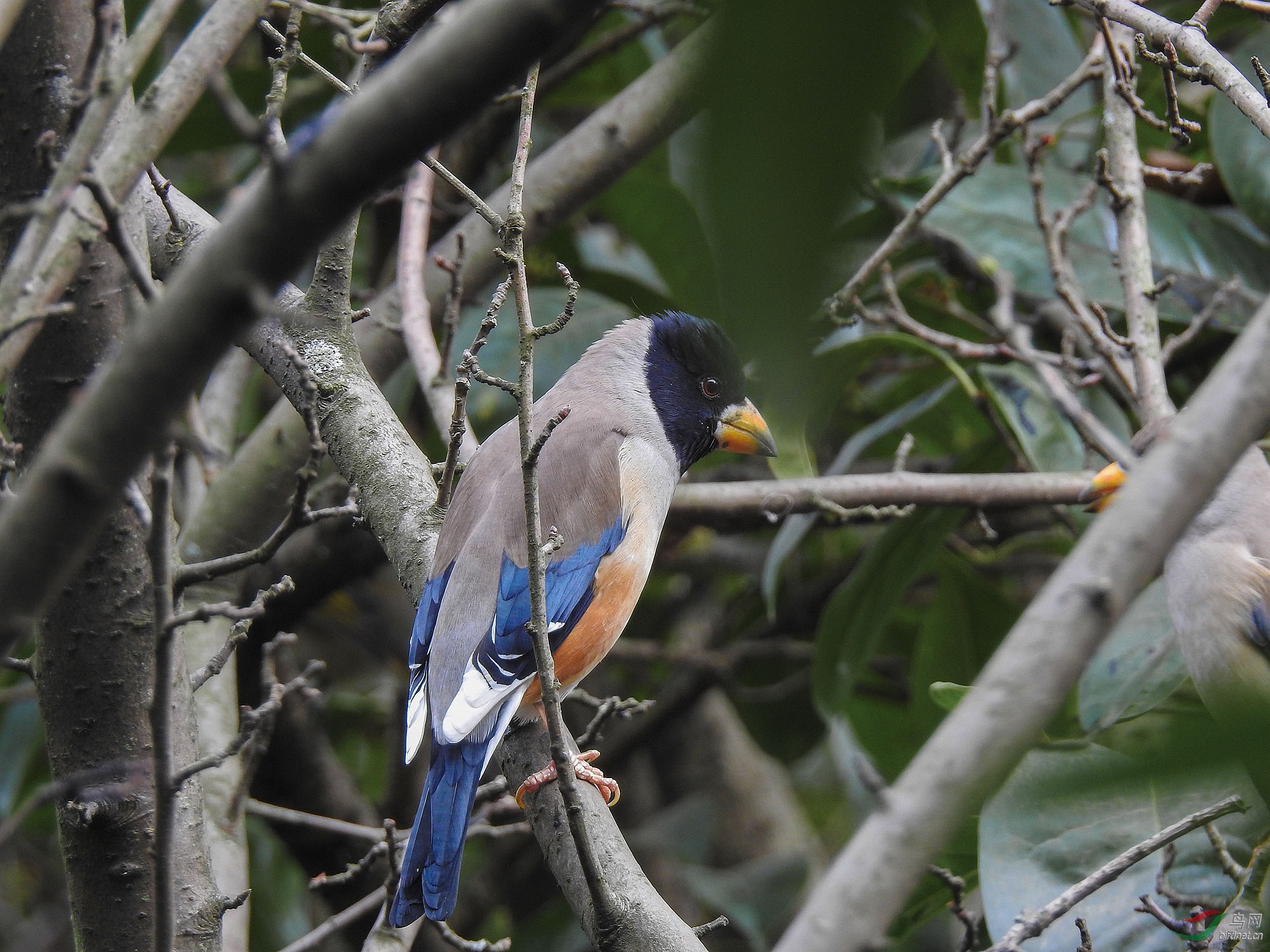 DSCN2690.jpg