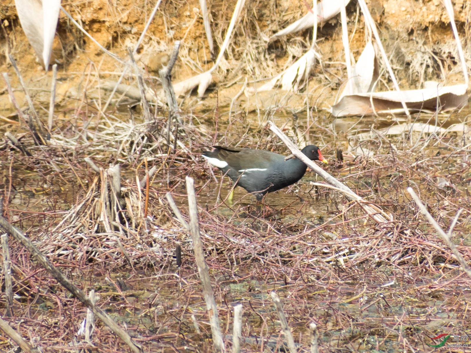DSCF6158.jpg