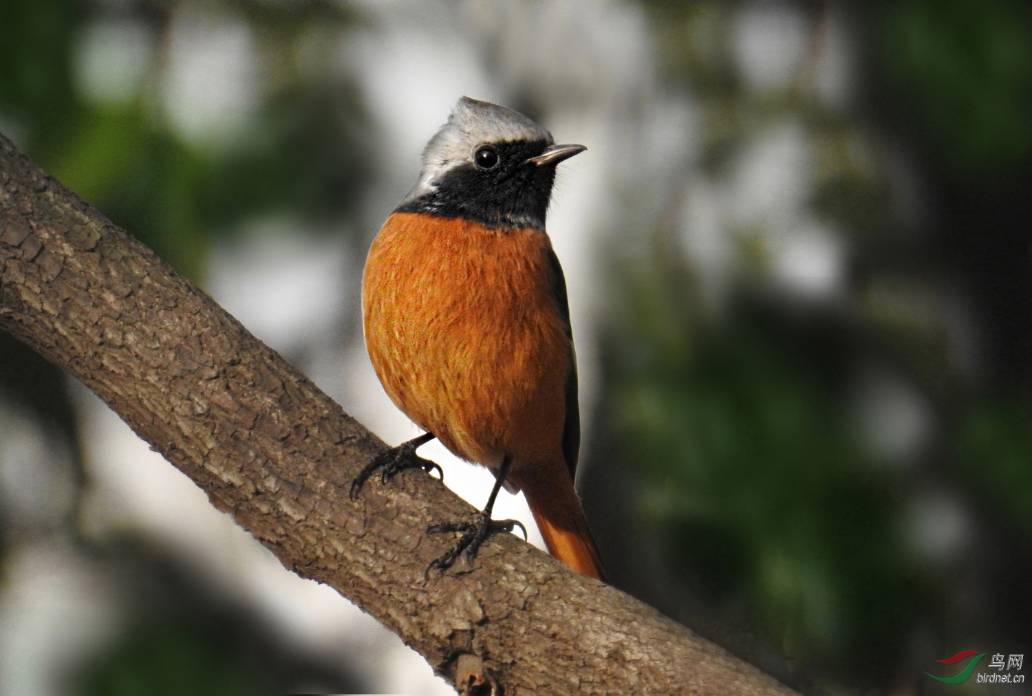 DSCN3505 ����.jpg