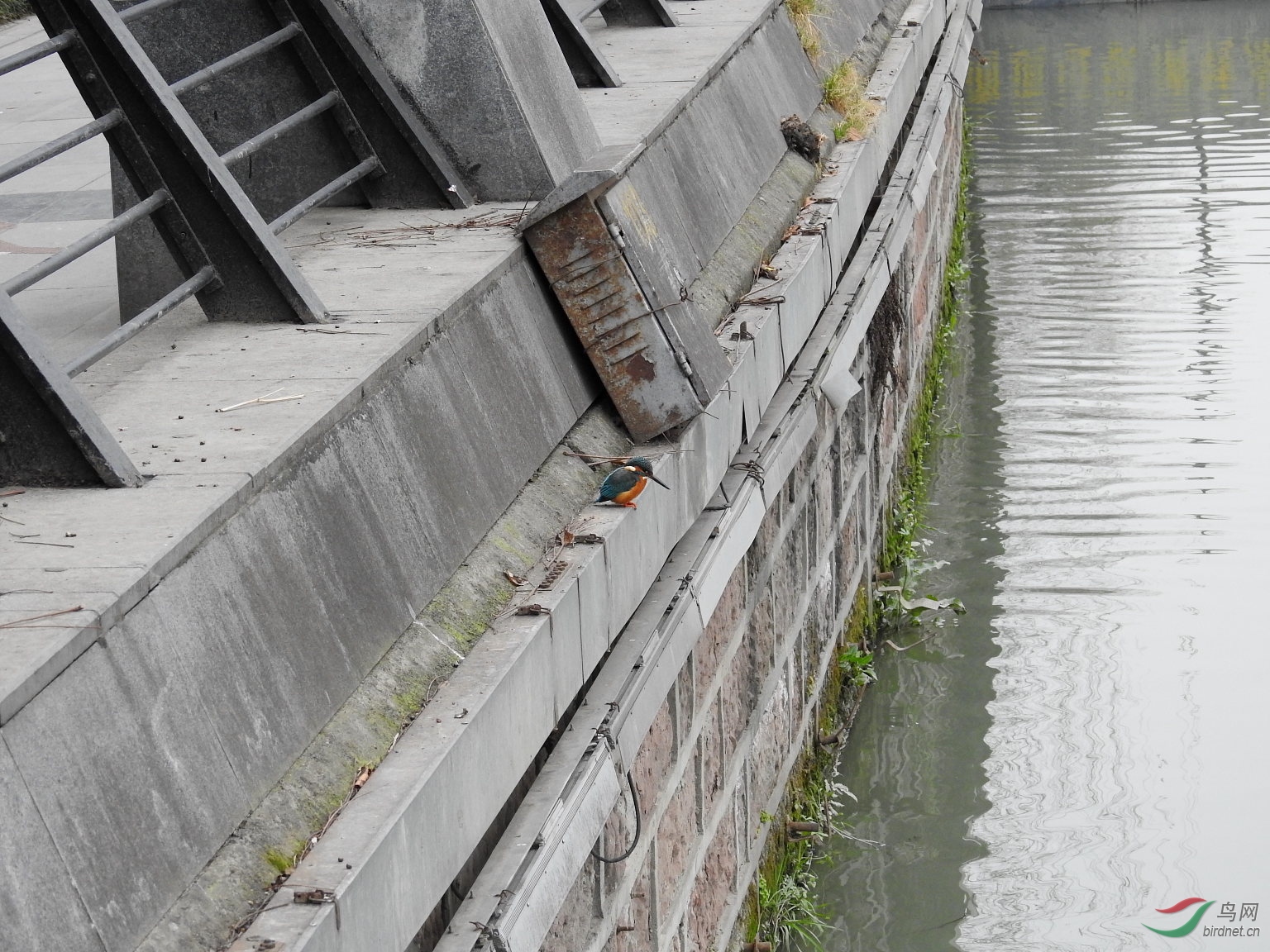 DSCN6813.JPG