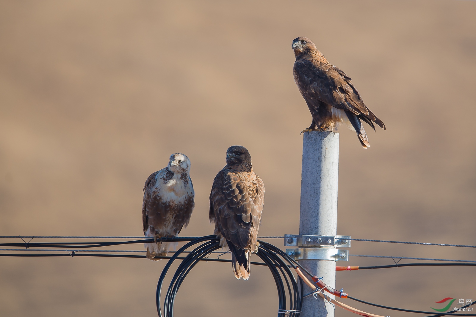 我们距离现代文明到底还有多远