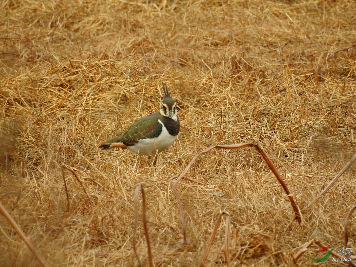 DSCN5636.JPG