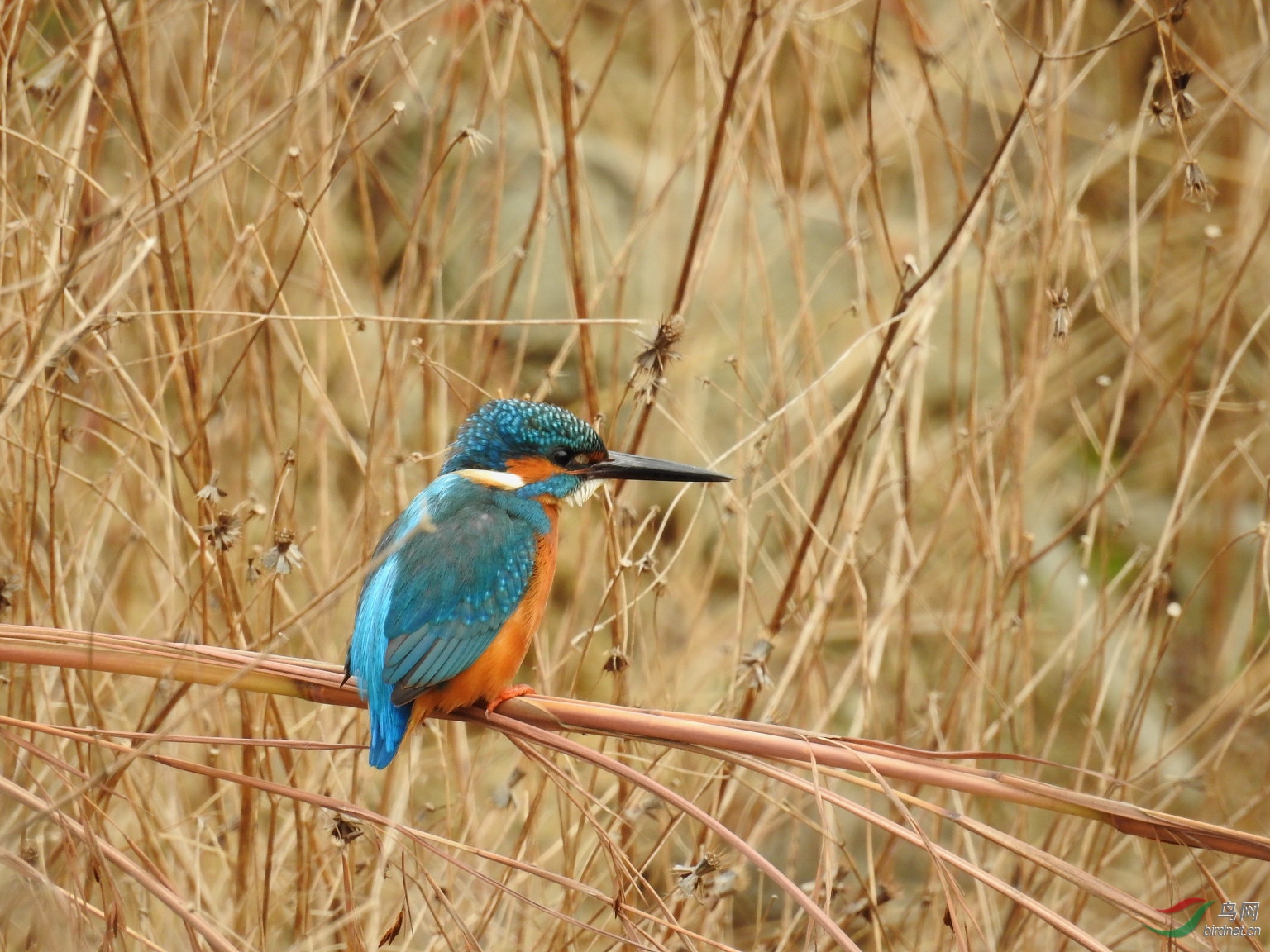 DSCN5587.JPG