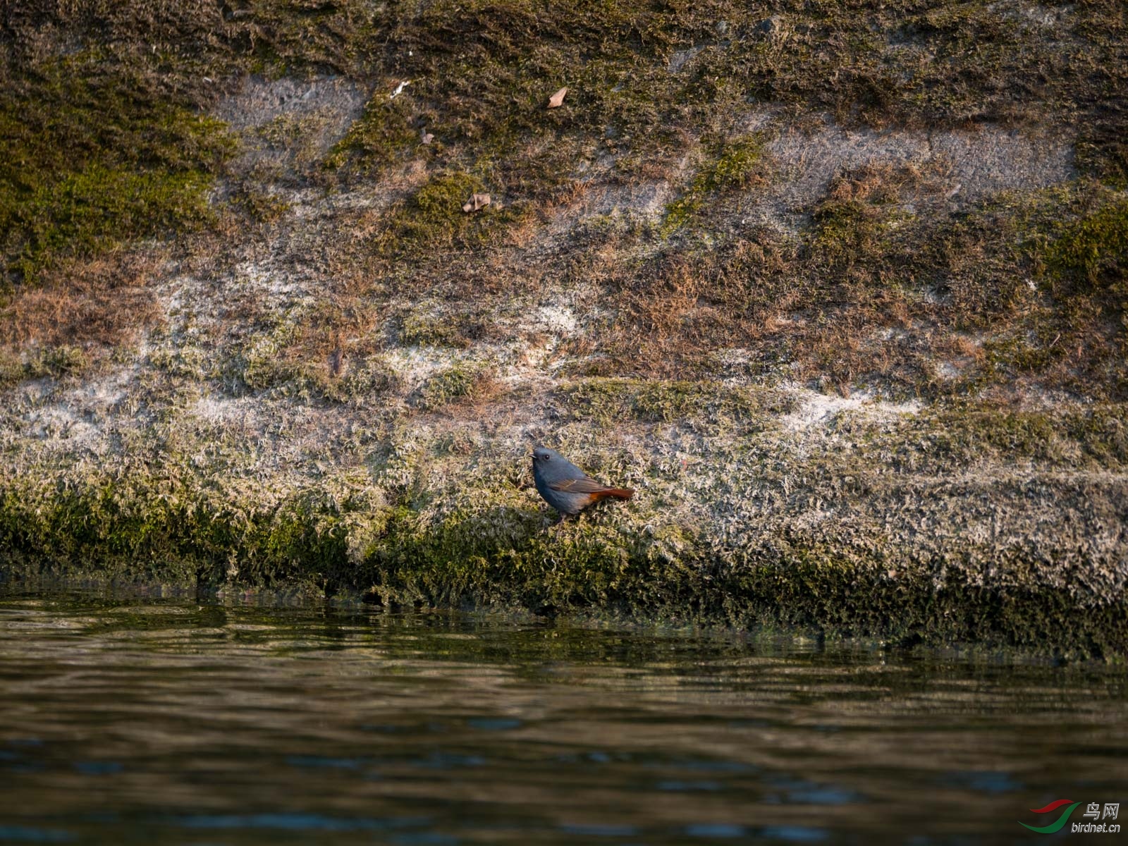 P1100544.jpg