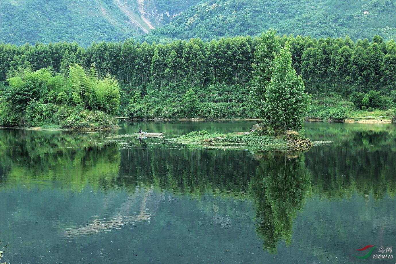 【绿水青山】=【金山银山】